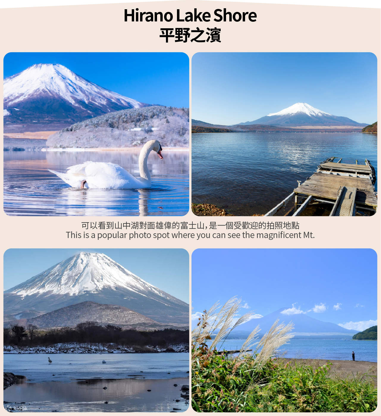 [Mt. Fuji Cycling, Matcha Experience, and Hot Spring Two-Day Deep Dive Tour] Kawaguchiko & Matcha Experience & Ropeway & Hot Spring & Yamanakako Cycling & Oshino Hakkai &... - Image 5